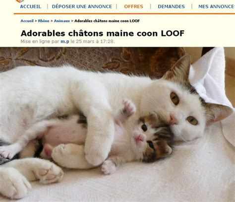 le bon coin 85 animaux